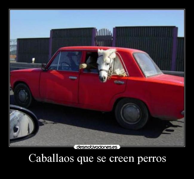 Caballaos que se creen perros -