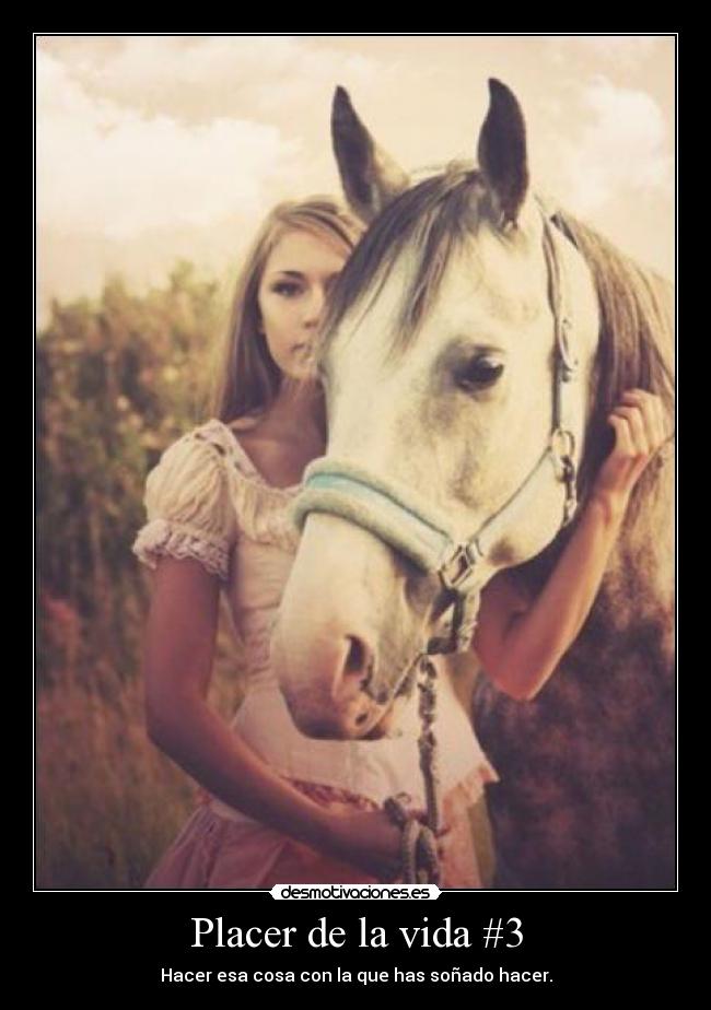 Placer de la vida #3 - 