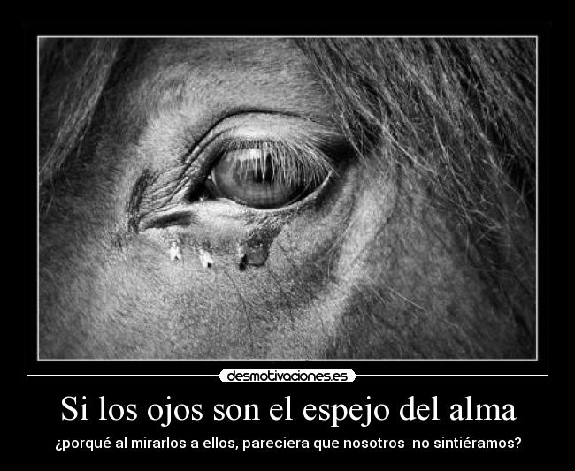 Si los ojos son el espejo del alma - ¿porqué al mirarlos a ellos, pareciera que nosotros  no sintiéramos?
