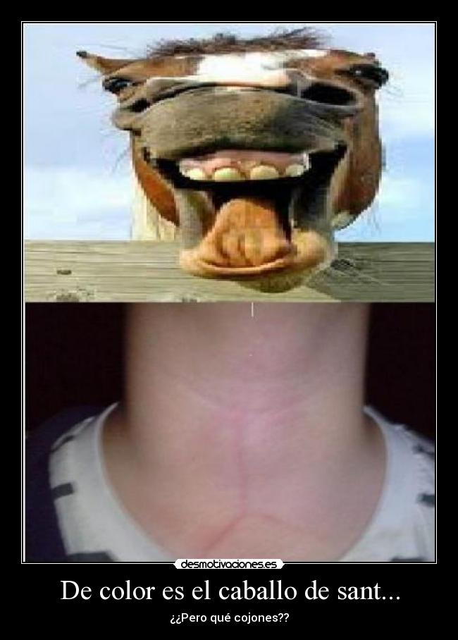 De color es el caballo de sant... -