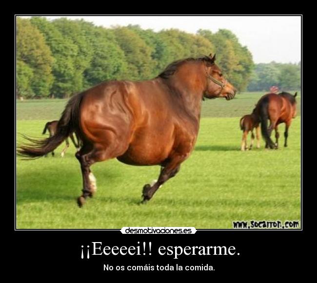 carteles esperarme comais toda comida desmotivaciones
