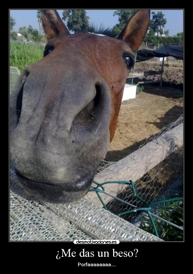 ¿Me das un beso? - Porfaaaaaaaa....