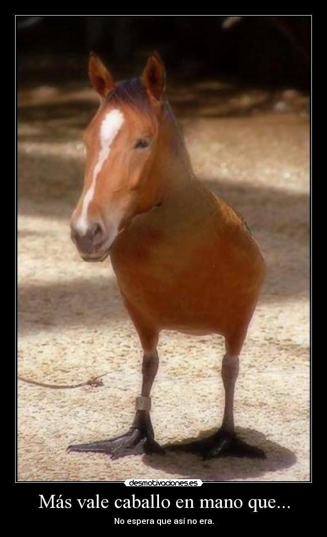 Más vale caballo en mano que... -