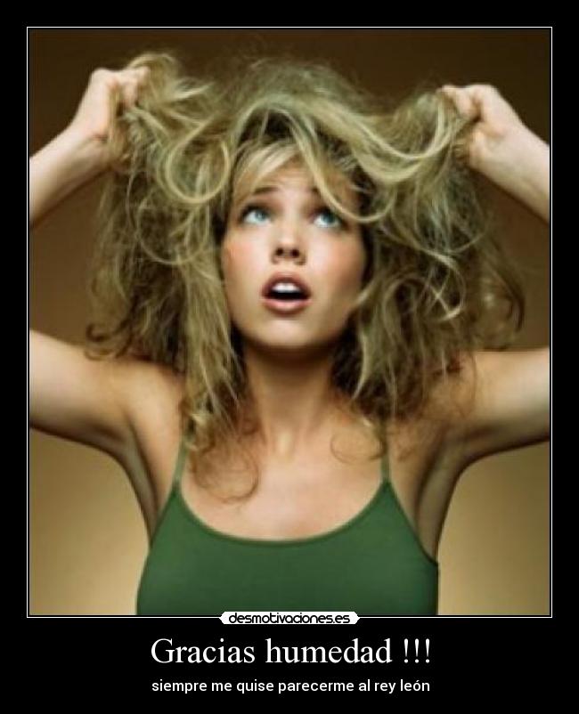 Gracias humedad !!! - siempre me quise parecerme al rey león