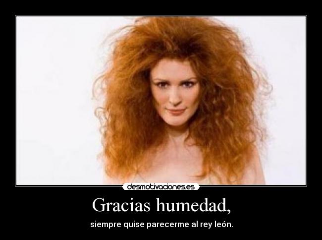 Gracias humedad, -