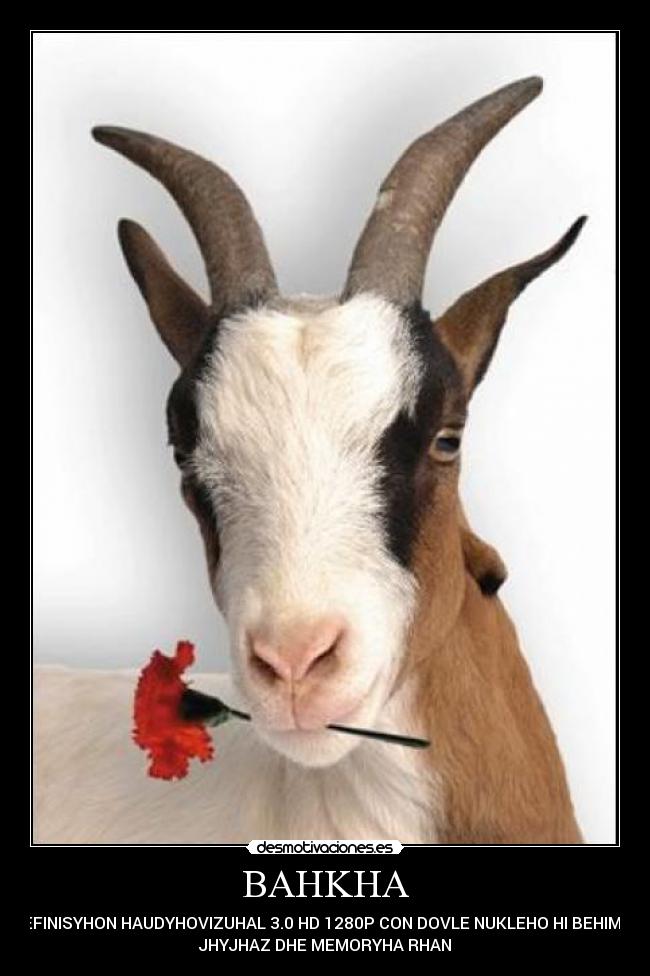 BAHKHA - DEFINISYHON HAUDYHOVIZUHAL 3.0 HD 1280P CON DOVLE NUKLEHO HI BEHIMTE
JHYJHAZ DHE MEMORYHA RHAN