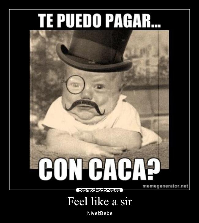 Feel like a sir - 