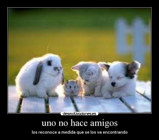 uno no hace amigos - los reconoce a medida que se los va encontrando