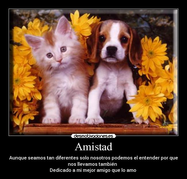 Amistad - Aunque seamos tan diferentes solo nosotros podemos el entender por que
nos llevamos también  
Dedicado a mi mejor amigo que lo amo 