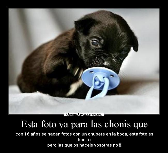 Esta foto va para las chonis que -