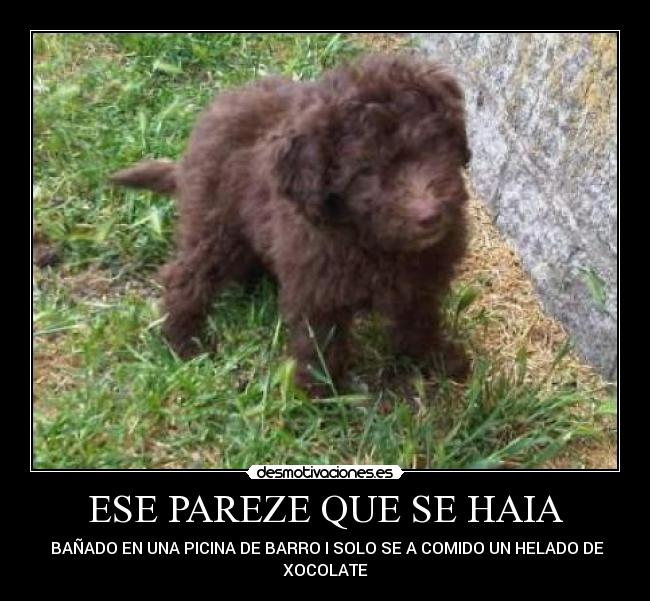ESE PAREZE QUE SE HAIA - BAÑADO EN UNA PICINA DE BARRO I SOLO SE A COMIDO UN HELADO DE
XOCOLATE
