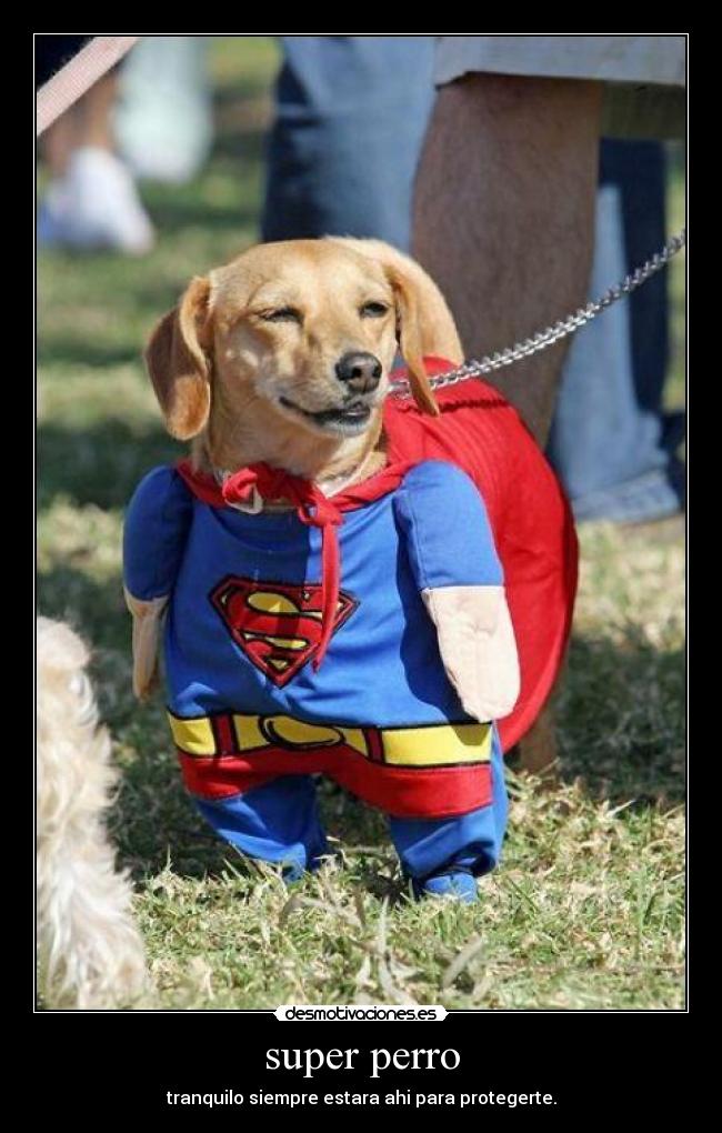 super perro -