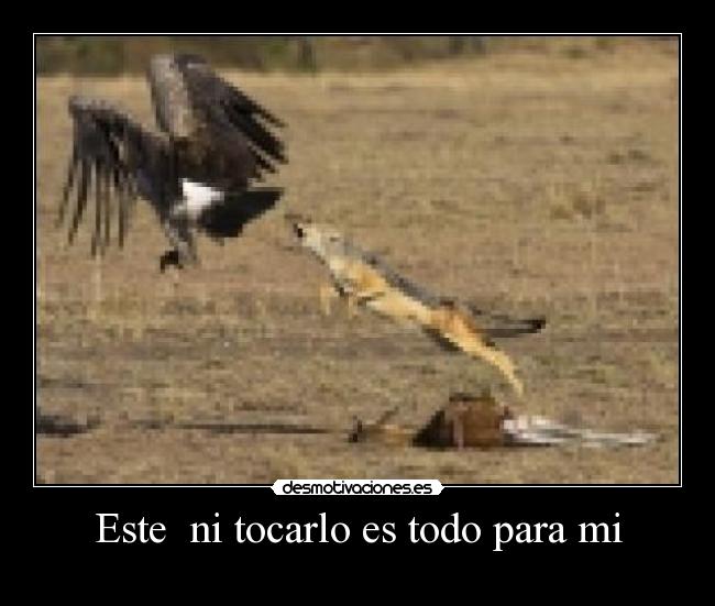 carteles dannyesku99 desmotivaciones