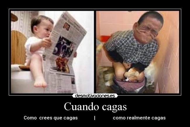 Cuando cagas - Como crees que cagas | como realmente cagas