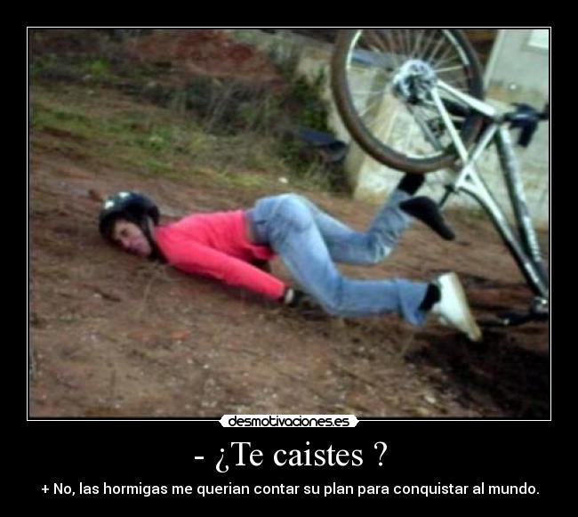 - ¿Te caistes ? - + No, las hormigas me querian contar su plan para conquistar al mundo.