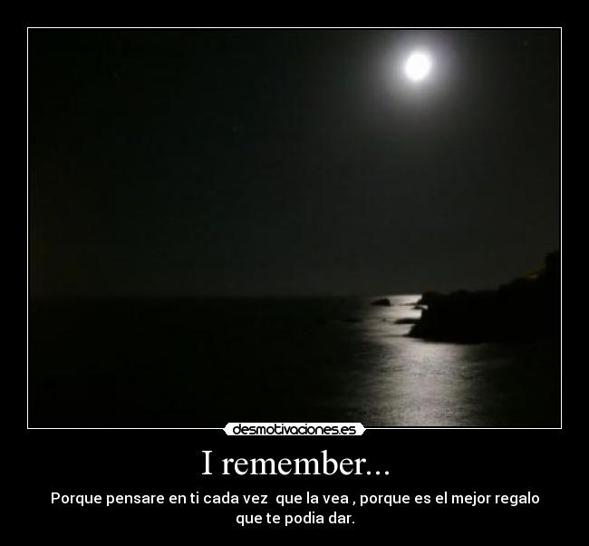 carteles mysky desmotivaciones