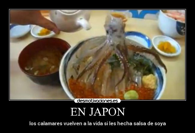 EN JAPON - los calamares vuelven a la vida si les hecha salsa de soya