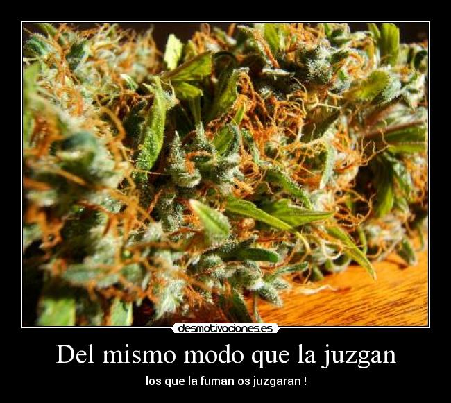 Del mismo modo que la juzgan - los que la fuman os juzgaran !