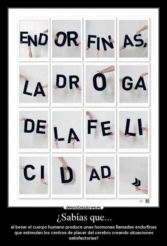 ¿Sabías que... - al besar el cuerpo humano produce unas hormonas llamadas endorfinas
que estimulan los centros de placer del cerebro creando situaciones
satisfactorias?