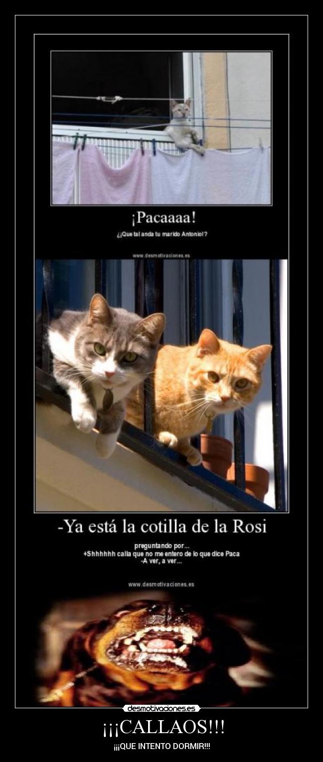 ¡¡¡CALLAOS!!! - ¡¡¡QUE INTENTO DORMIR!!!