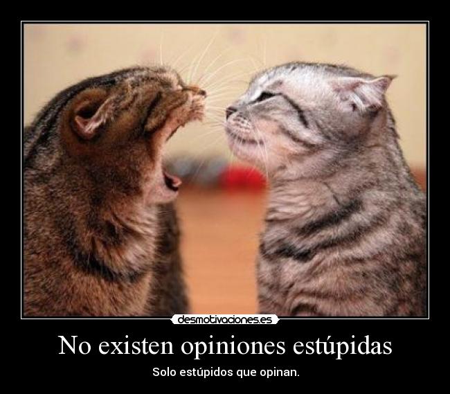 No existen opiniones estúpidas - Solo estúpidos que opinan.