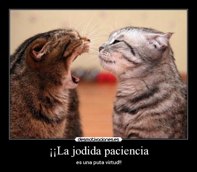 ¡¡La jodida paciencia - es una puta virtud!!