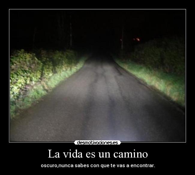 La vida es un camino - 