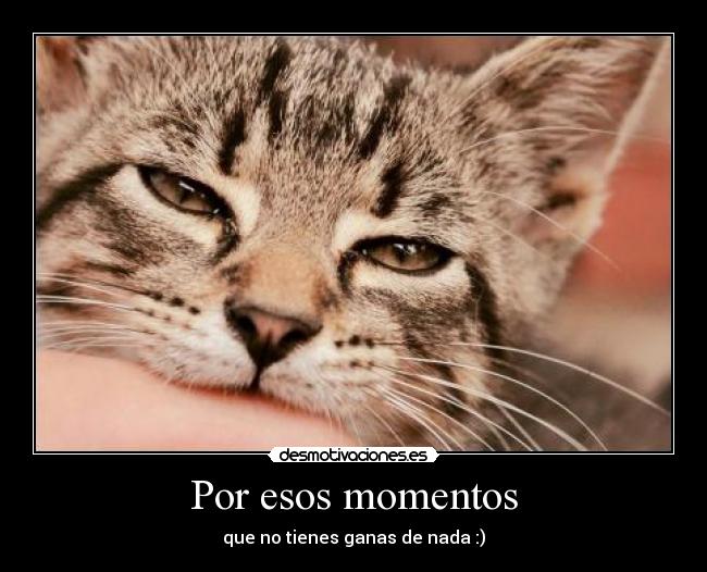 Por esos momentos - que no tienes ganas de nada :)