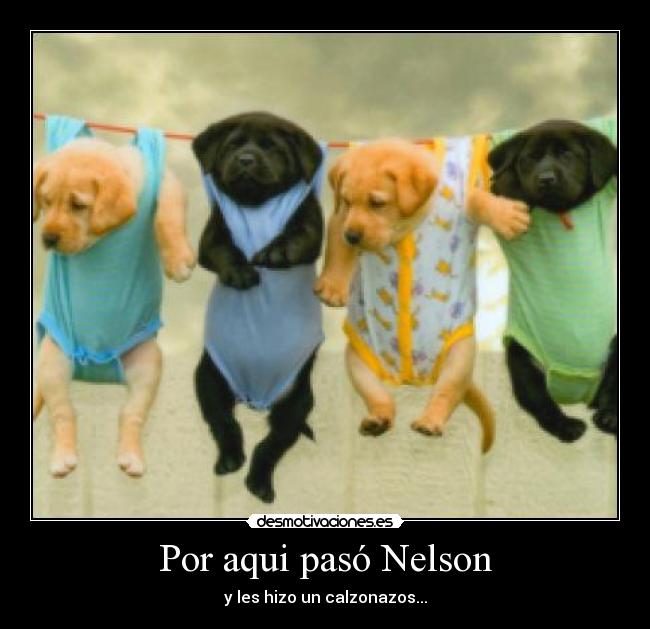Por aqui pasó Nelson -