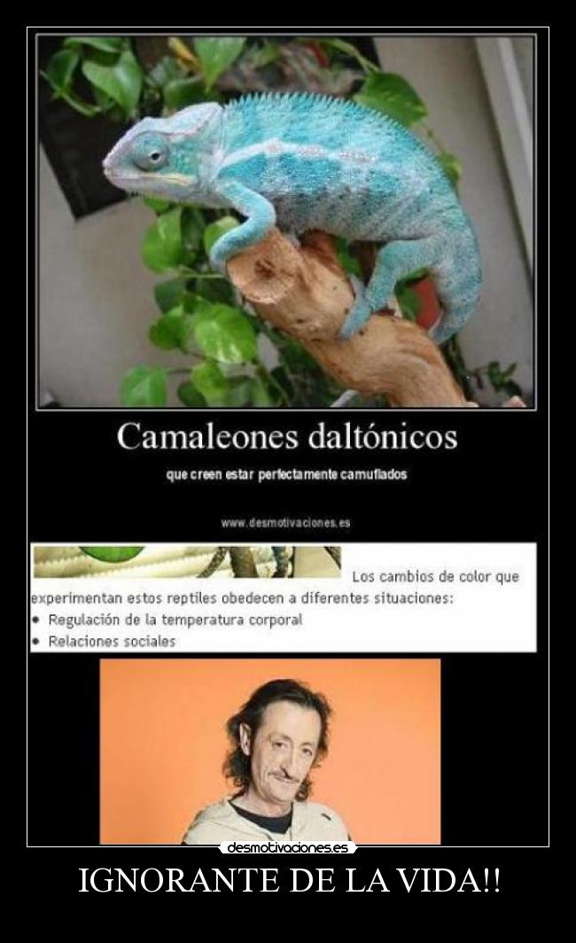 IGNORANTE DE LA VIDA!! -