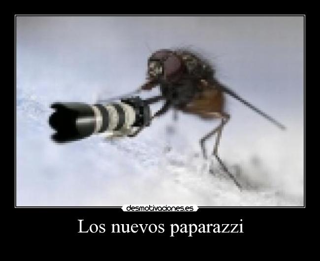Los nuevos paparazzi -
