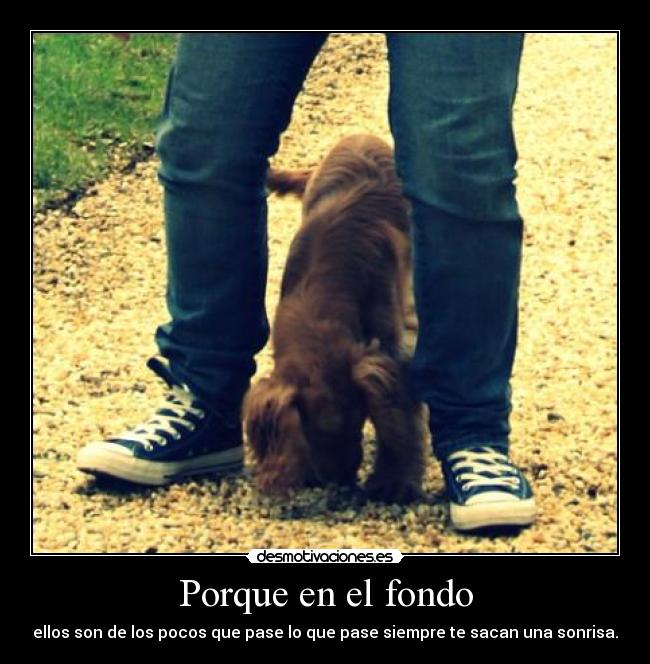 Porque en el fondo - 