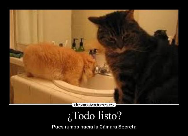 carteles gatos animales harry potter desmotivaciones