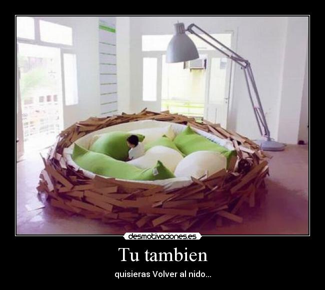 Tu tambien -