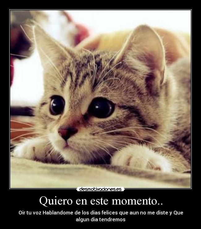 Quiero en este momento.. -