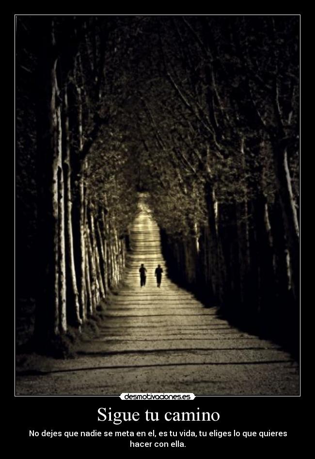 Sigue tu camino - No dejes que nadie se meta en el, es tu vida, tu eliges lo que quieres hacer con ella.