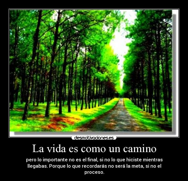 La vida es como un camino -