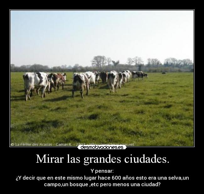 carteles increible desmotivaciones