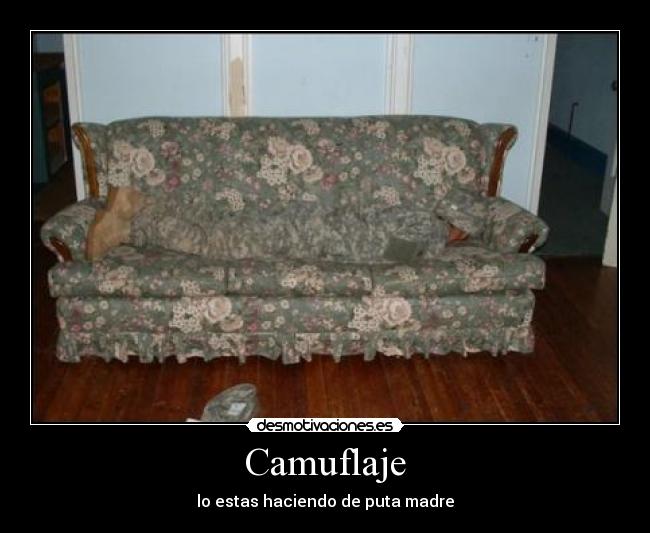 Camuflaje - lo estas haciendo de puta madre