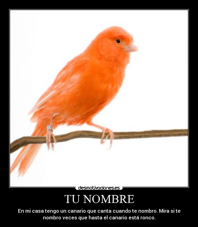 carteles music976 desmotivaciones