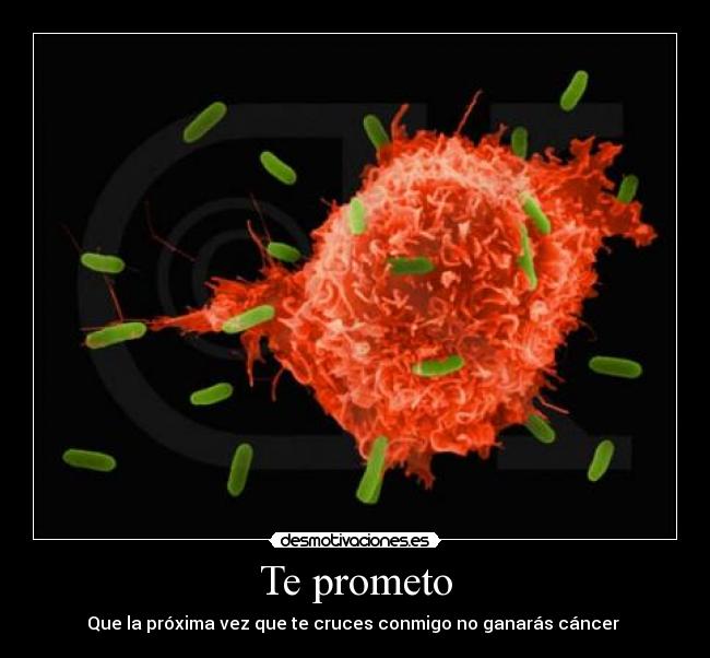 Te prometo - 