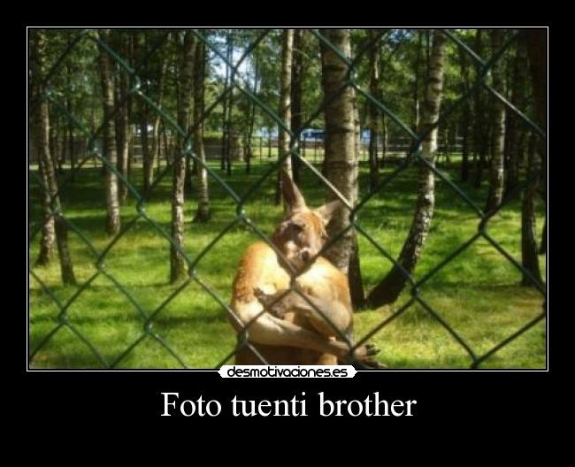 Foto tuenti brother -