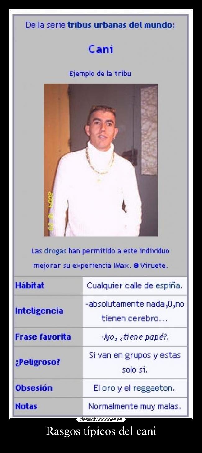 Rasgos típicos del cani -