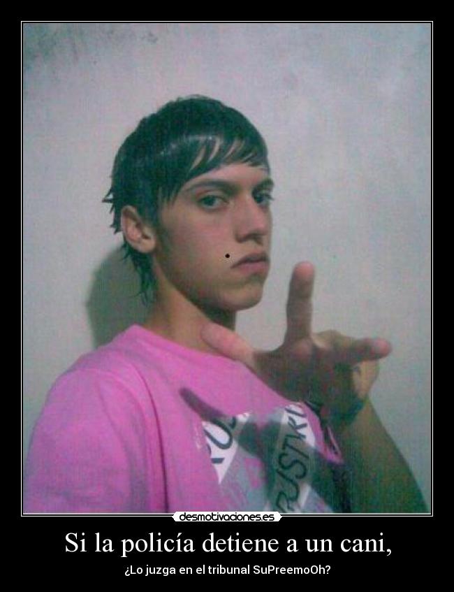Si la policía detiene a un cani, - ¿Lo juzga en el tribunal SuPreemoOh?