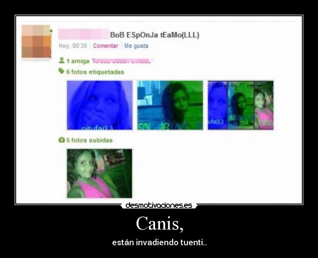 Canis, - están invadiendo tuenti..