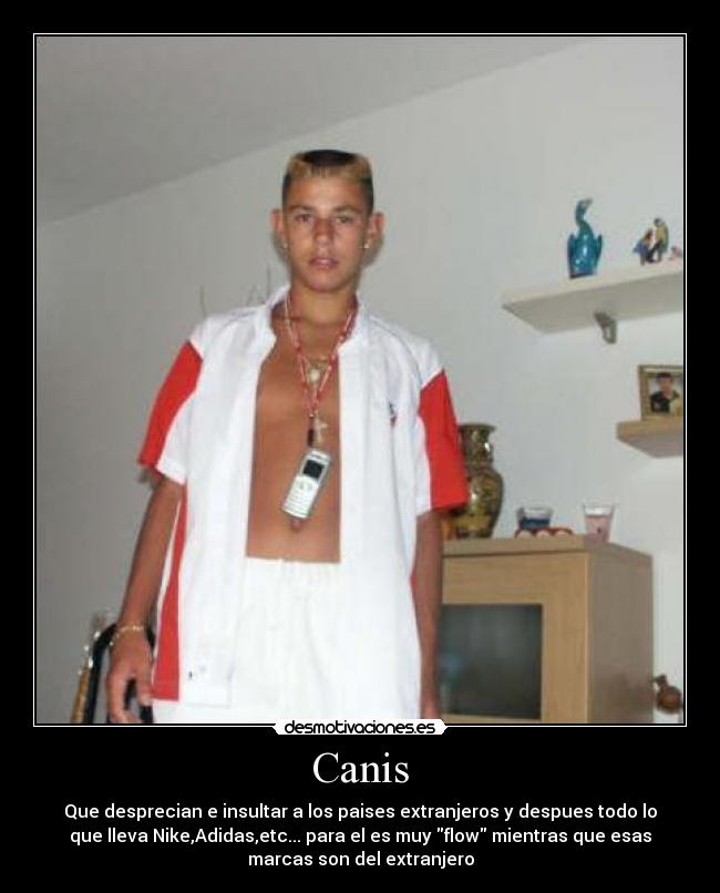 Canis -
