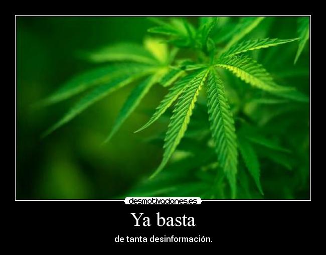 Ya basta -