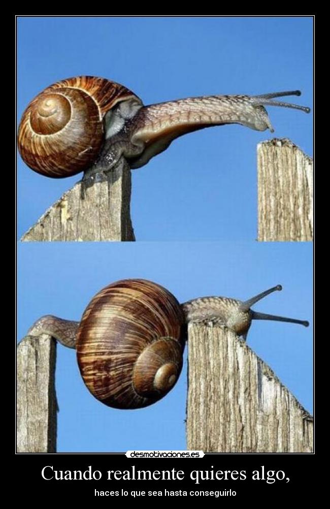 Cuando realmente quieres algo, - 