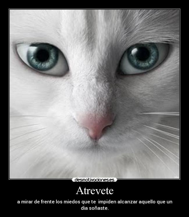 Atrevete - a mirar de frente los miedos que te impiden alcanzar aquello que un dia soñaste.