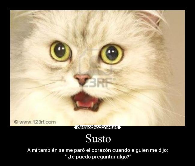 carteles puedo preguntar algo desmotivaciones